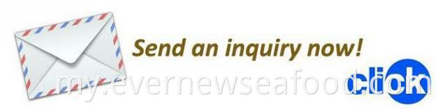 ရေဘဝဲလေးများ အေးခဲသန့်စင်ထားသော ရေဘဝဲကလေးတစ်ခုလုံး